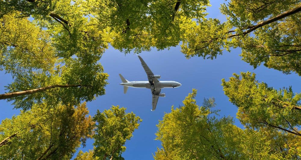 Compensation carbone : peut-on vraiment « annuler » les émissions d'un trajet en avion ?
