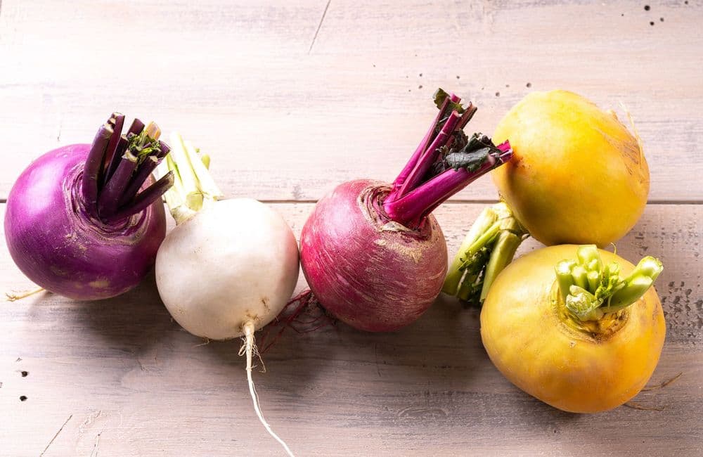 Cultiver les navets du printemps à l’hiver