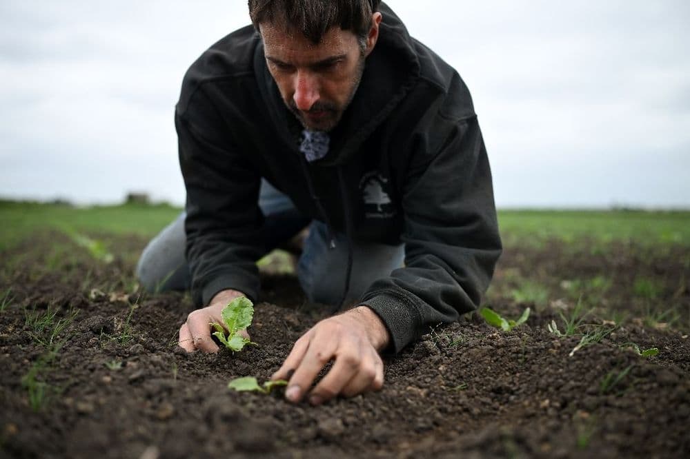 Chaleur, sécheresse: le printemps 2025 bat des records au Royaume-Uni