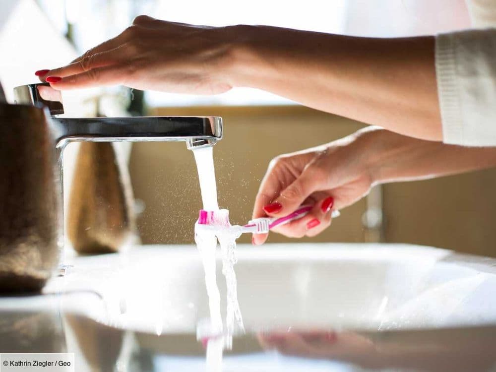 Brosse à dents, pommeau de douche: une étude retrouve plus de 600 virus dans les salles de bains, dont certains inédits