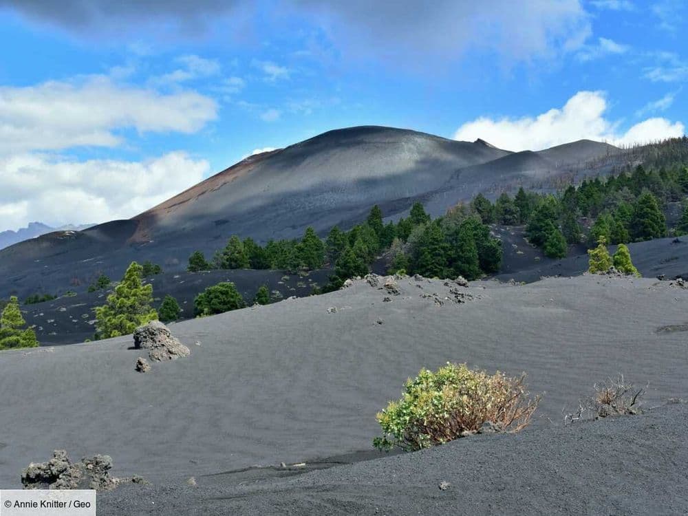 Les touristes se pressent sur cette plage étrange de La Palma, aux Canaries, née dans des conditions dramatiques