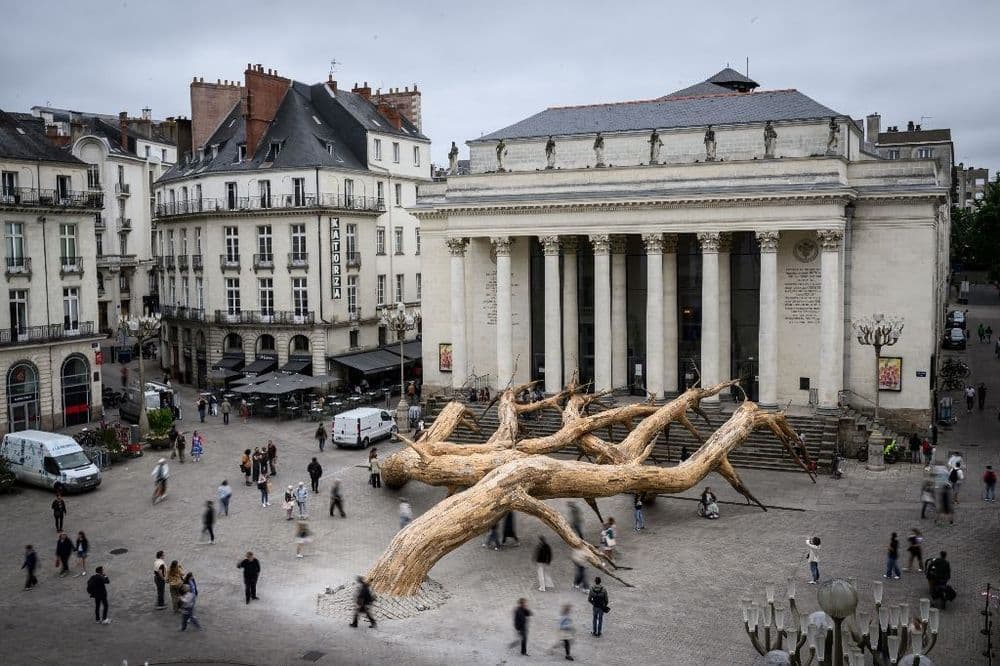 Pour le Voyage à Nantes, des arbres en majesté au coeur de la ville