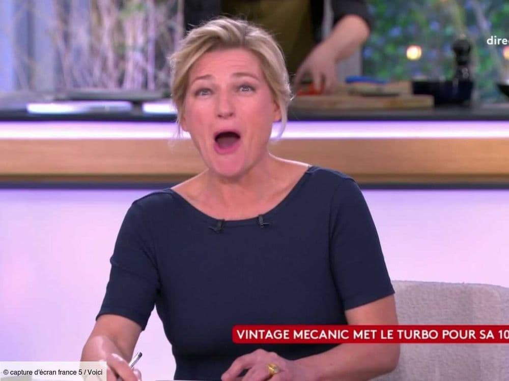 "Ils devaient te connaître non ?" : Anne-Elisabeth Lemoine choquée par le gros tacle de Patrick Cohen (ZAPTV)