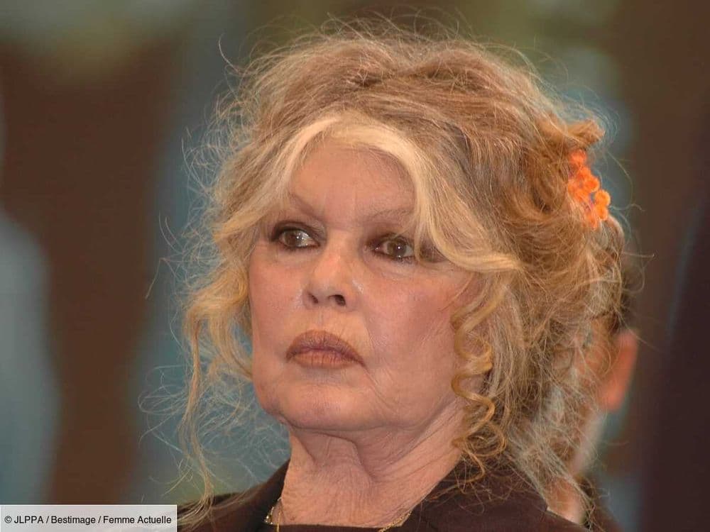 Brigitte Bardot se confie sur sa santé : "Je ne marche plus du tout"