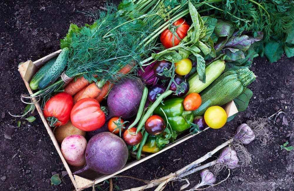 5 légumes que vous ne devriez pas conserver au réfrigérateur