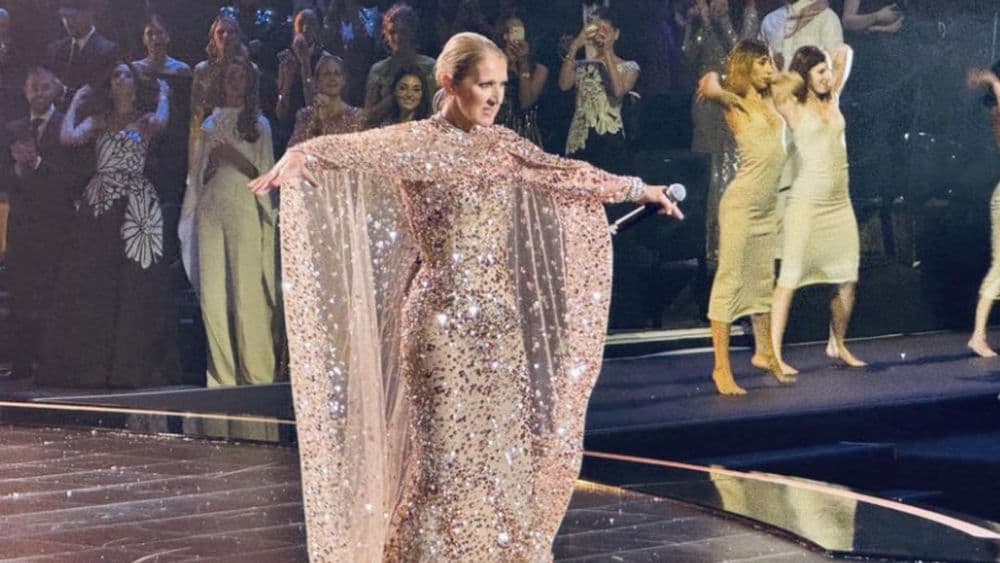 "Elle n'était pas sûre..." : Céline Dion en concert surprise au défilé Elie Saab, on sait si elle a pu chanter en live !