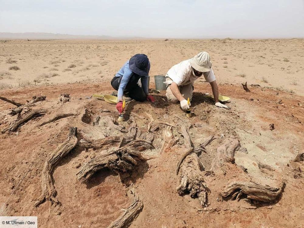 Le "Gobi Wall", ce mur médiéval méconnu qui éclaire l'histoire des frontières en Asie