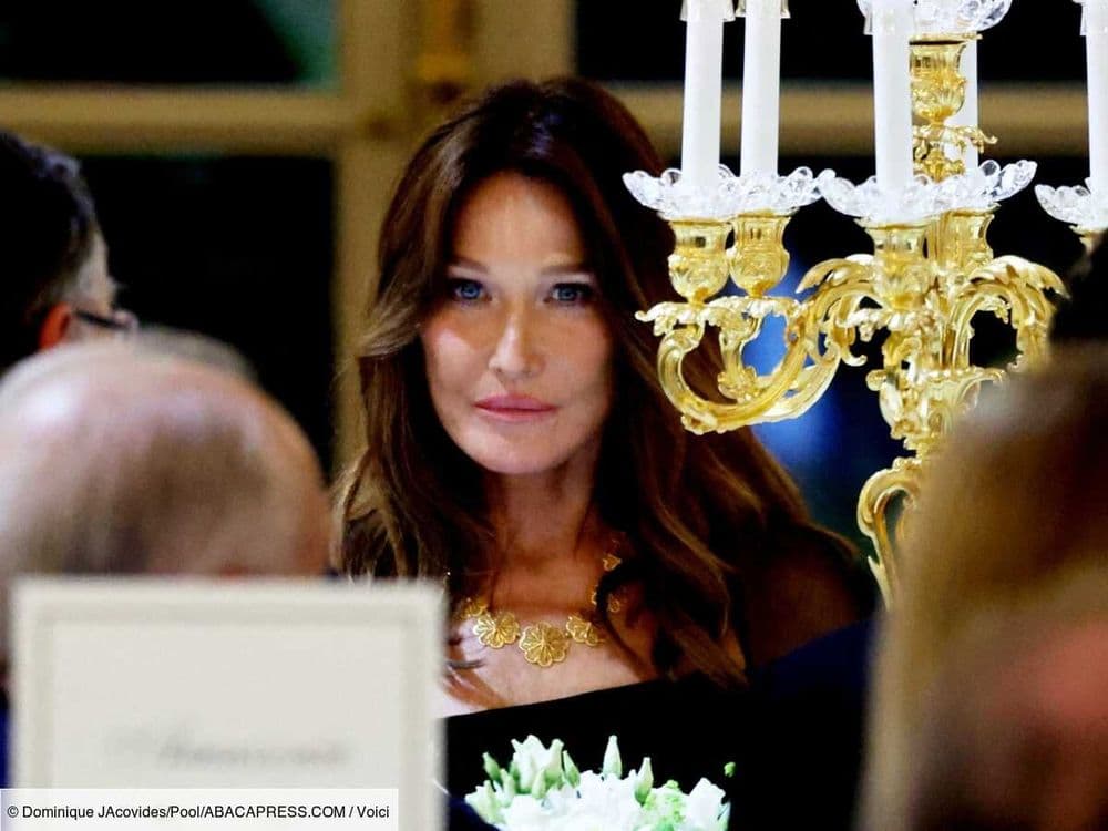 Carla Bruni et Brigitte Macron dans les bras l'une de l'autre lors du dîner d'Etat avec Lula, un cliché les montre très complices