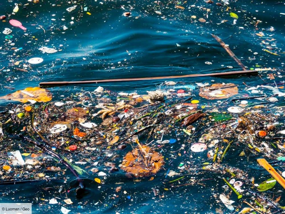 La France favorable à un "parquet vert européen" pour lutter contre la criminalité environnementale
