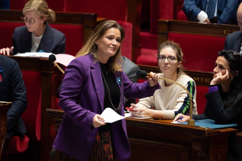 Aurore Bergé, Marlène Schiappa, Olivia Grégoire… Elles cassent le tabou des la grossesse des femmes politiques