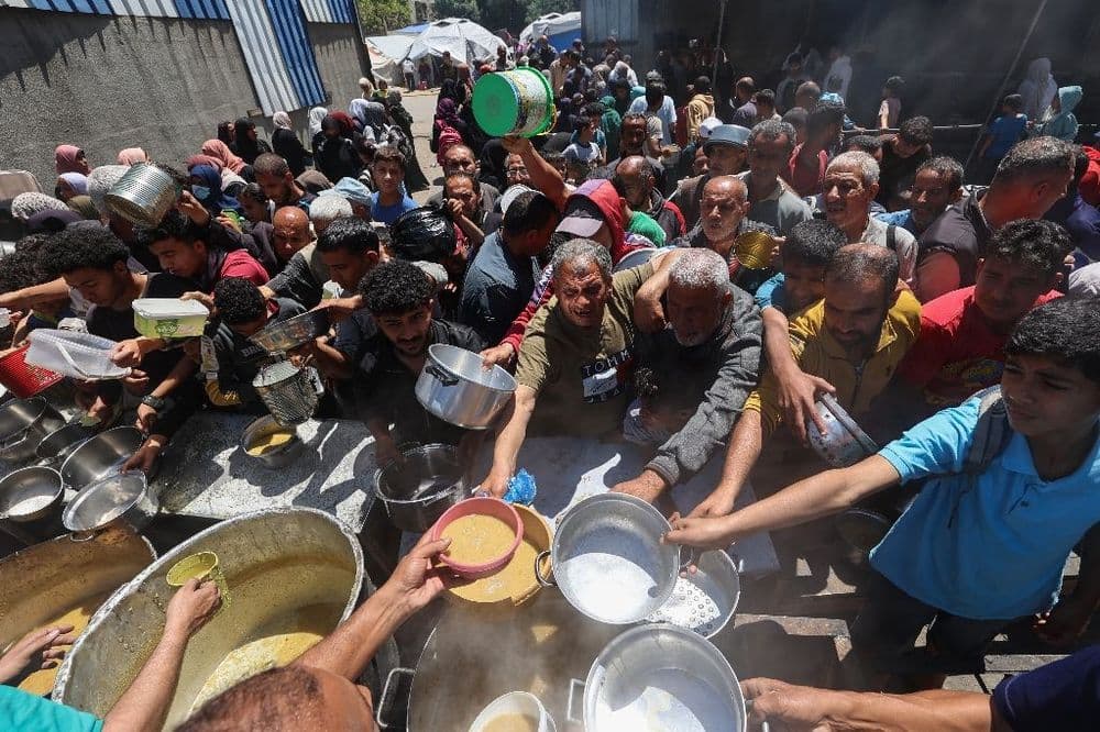 Gaza confrontée à "un risque critique de famine", selon le rapport IPC
