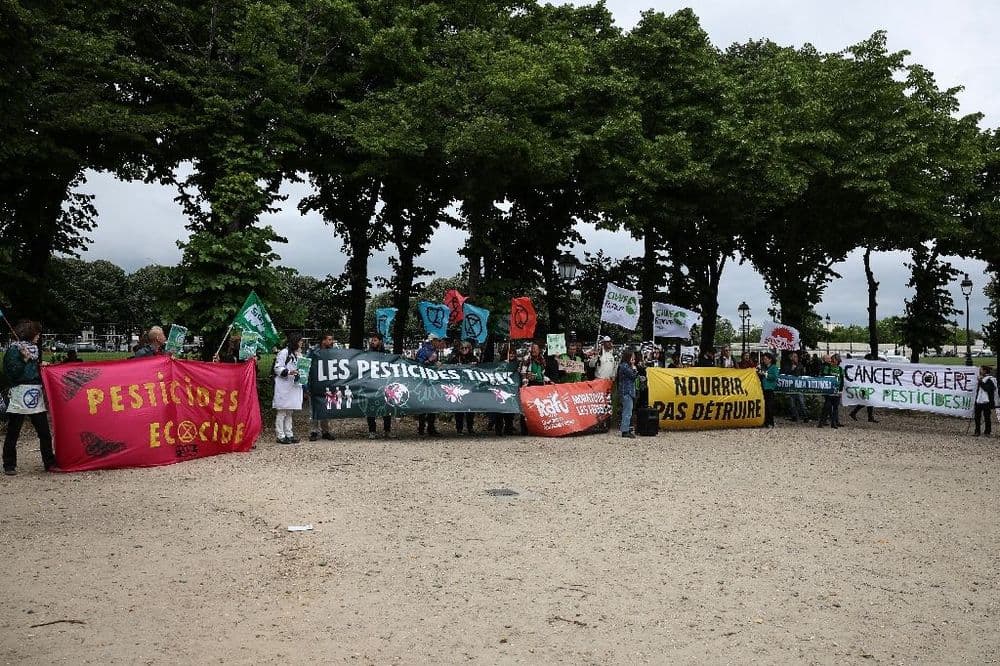 "Pas tous" pour la loi "Duplomb": des paysans et militants manifestent à Paris