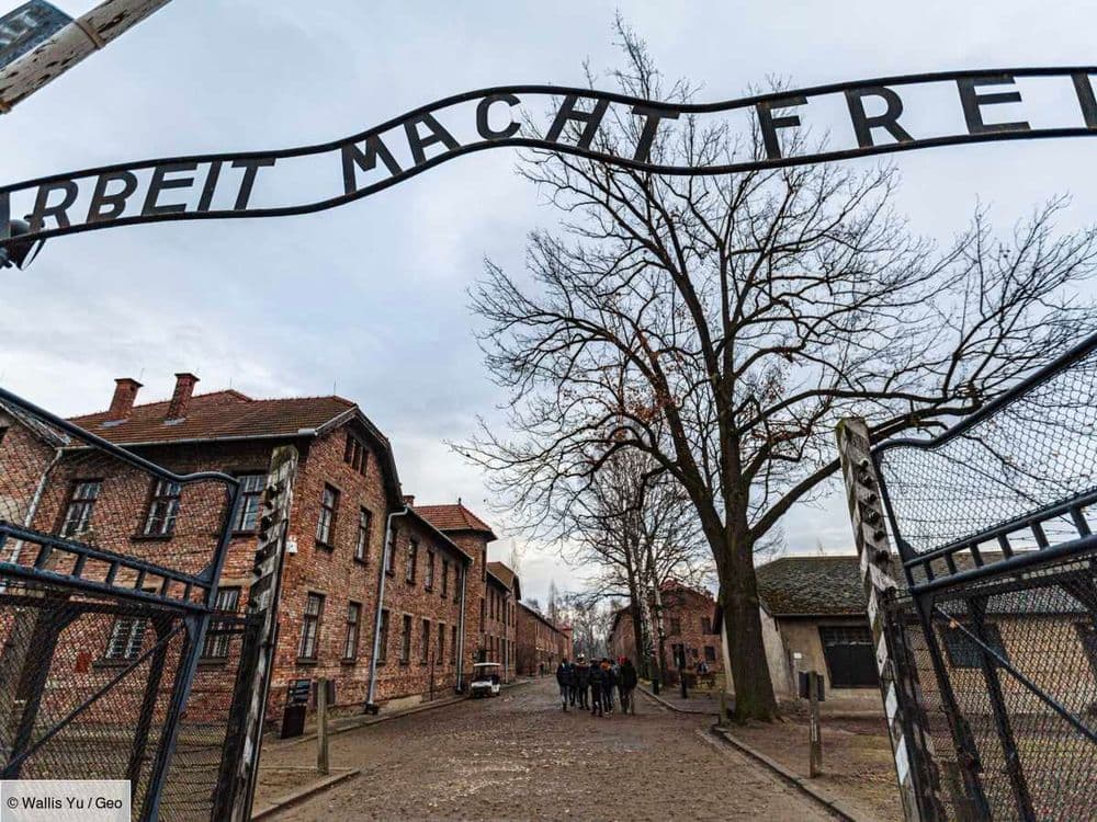 80 ans après la libération d'Auschwitz, les survivants de la Shoah racontent l’indicible