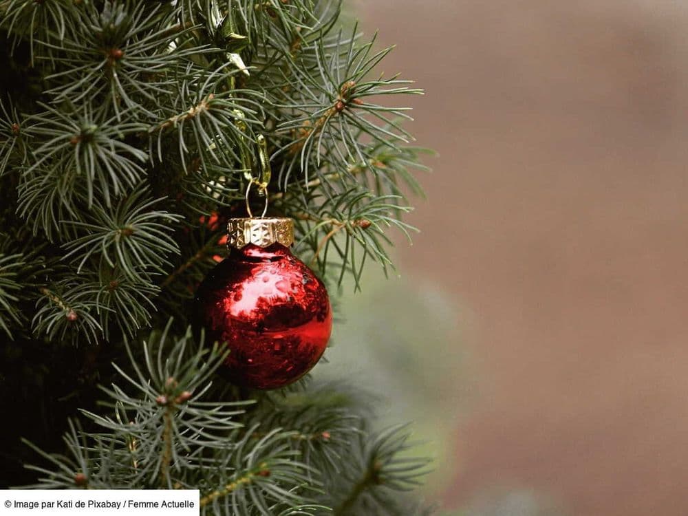 Cette ville propose de recycler son sapin de Noël en le mangeant et provoque un tollé