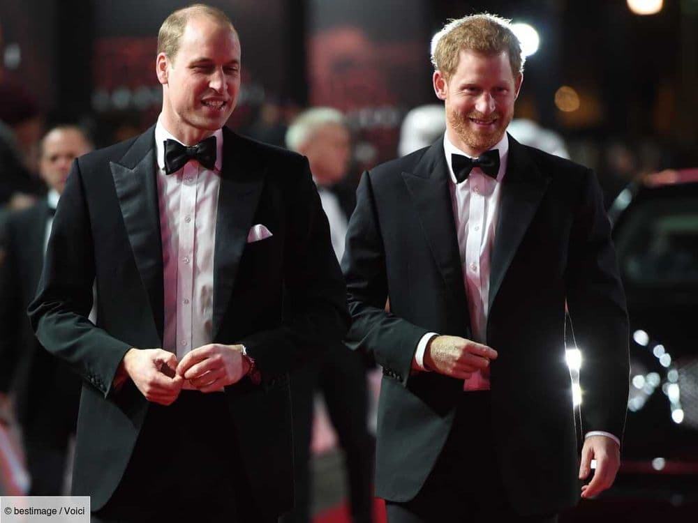 Mort de l’oncle des princes Harry et William : pourquoi ils ne recevront aucun héritage du beau-frère de Lady Diana