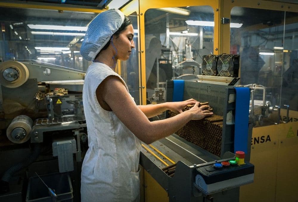 Petits frères des havanes, les cigarillos cubains ont aussi la cote