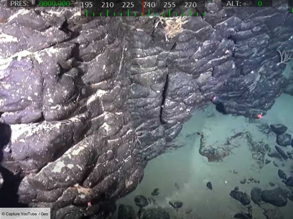 Des chercheurs découvrent une île luxuriante et inconnue, engloutie au large du Brésil