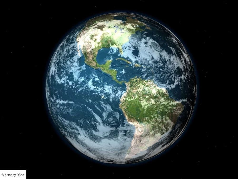 Si les humains venaient à disparaître, quelle créature prendrait le dessus sur Terre ? Découvrez la surprenante réponse des scientifiques