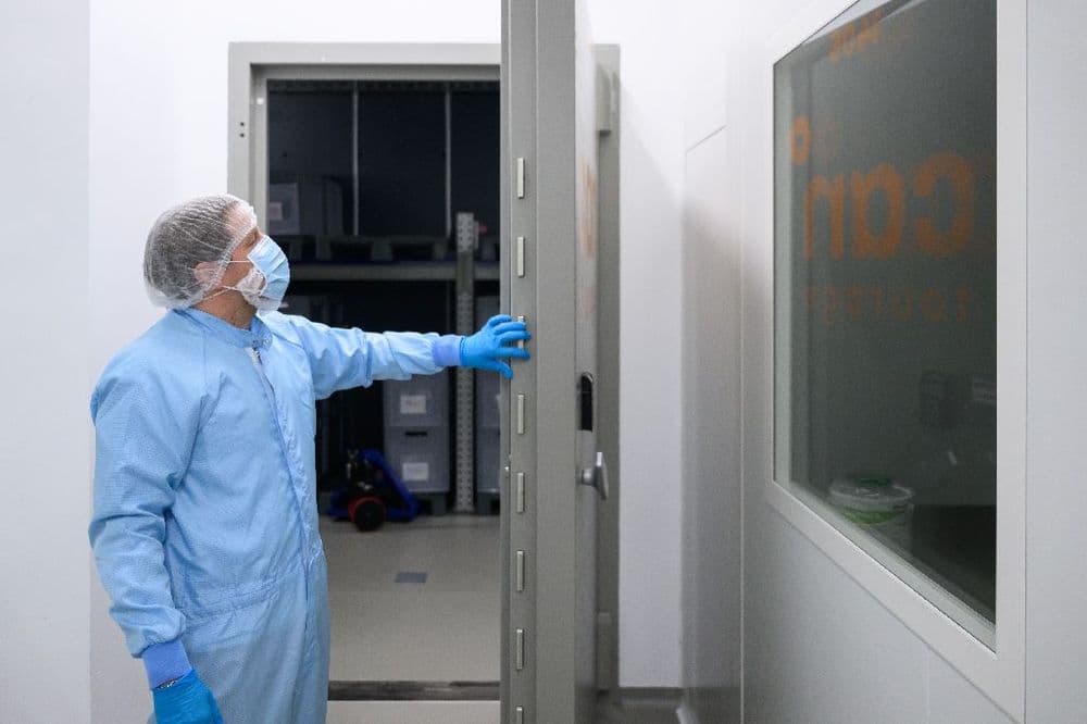 Le cannabis médical, une production "made in Germany" en plein boom