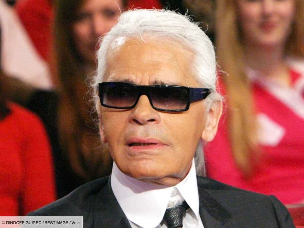 Mort de Karl Lagerfeld : pourquoi sa chatte Choupette n'a finalement pas hérité de lui ?