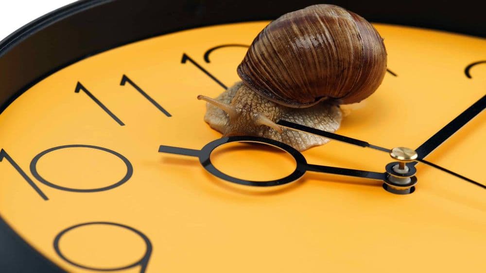 Impôts 2024 : voici le jour du dernier délai pour modifier votre déclaration après la date limite