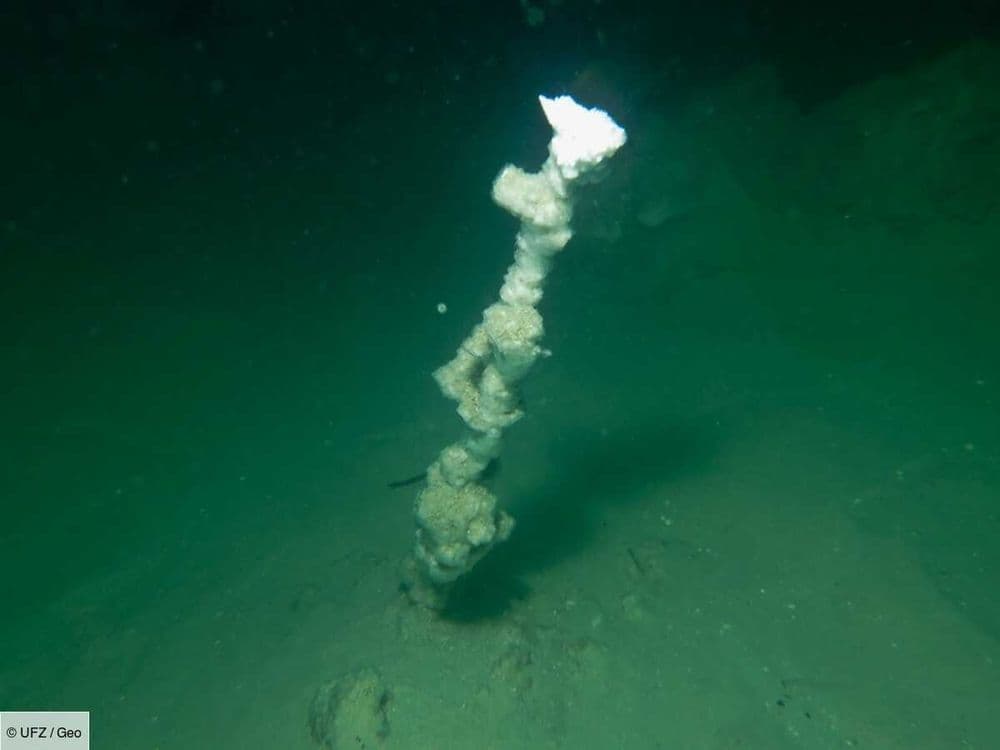D'exceptionnels "fumeurs blancs" découverts pour la première fois dans les profondeurs de la mer Morte