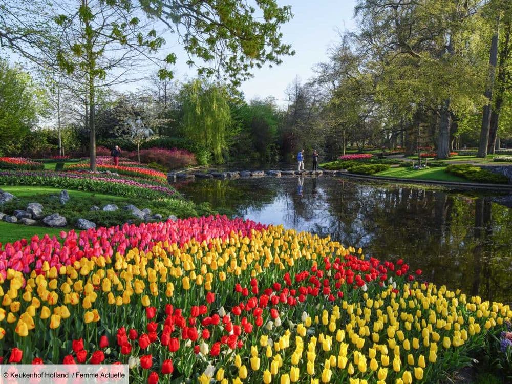 Pays-Bas : voici le meilleur moment pour visiter Keukenhof, le plus grand jardin de tulipes du monde