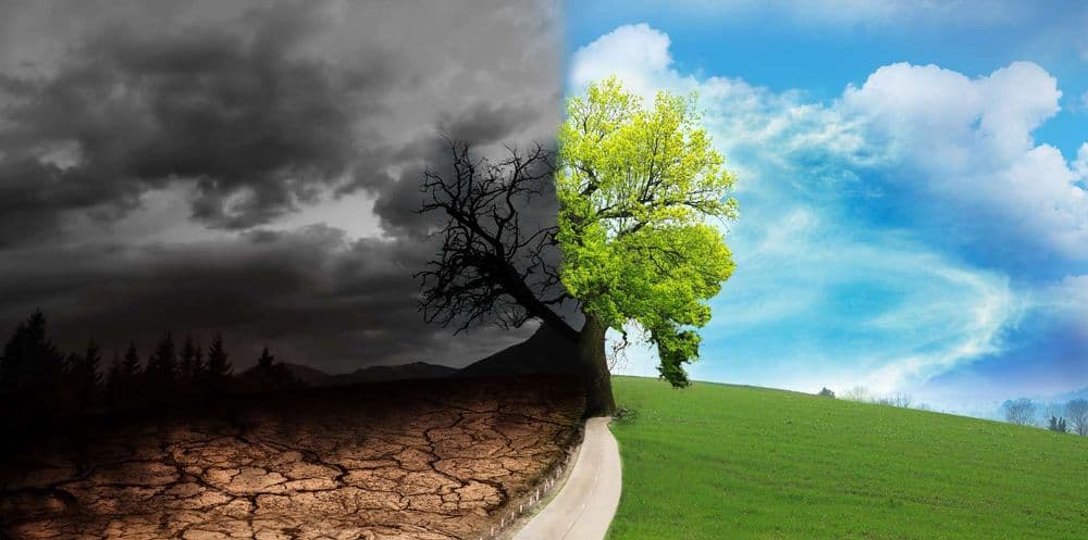 Guerre en Ukraine : les chiffres alarmants d'un désastre écologique mondial