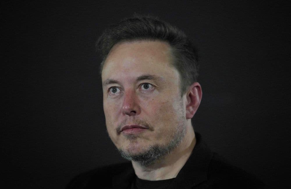 Vivian, Griffin… Qui sont les 13 enfants d’Elon Musk ?