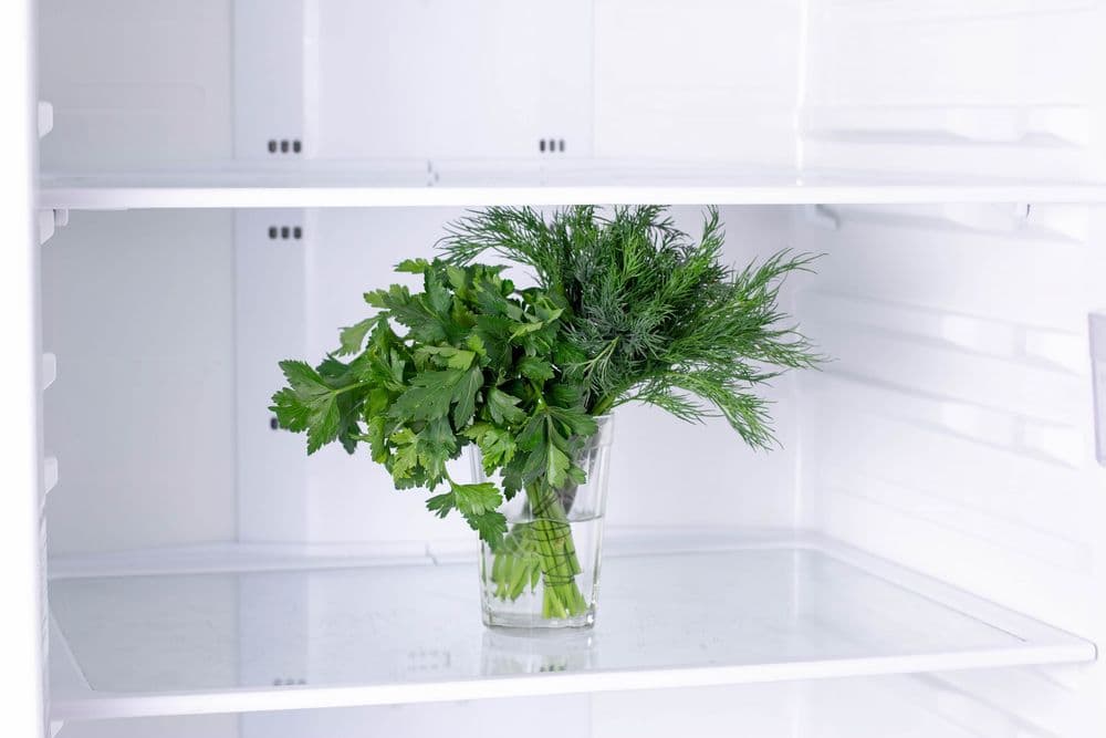 Voici la technique pour conserver les herbes fraîches plus longtemps au réfrigérateur