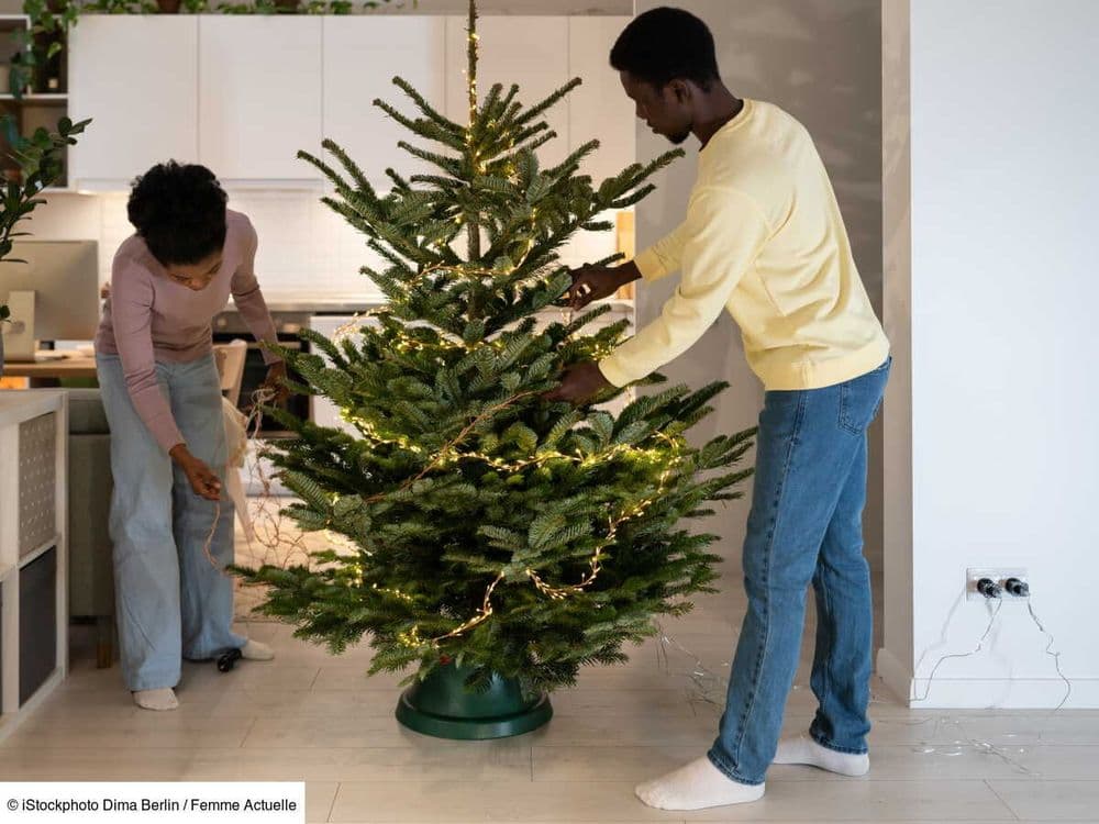 Ce à quoi il faut penser absolument pour ne pas abîmer votre sol avec votre sapin