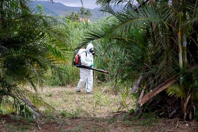 La Réunion: cinq nouveaux décès imputés au chikungunya malgré une épidémie en décrue