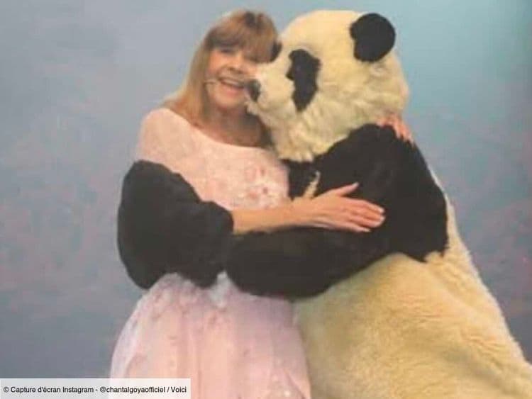 Vol du costume de Pandi Panda : Chantal Goya porte plainte