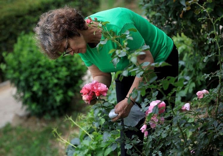 Përmet, la ville albanaise qui voit la vie en roses
