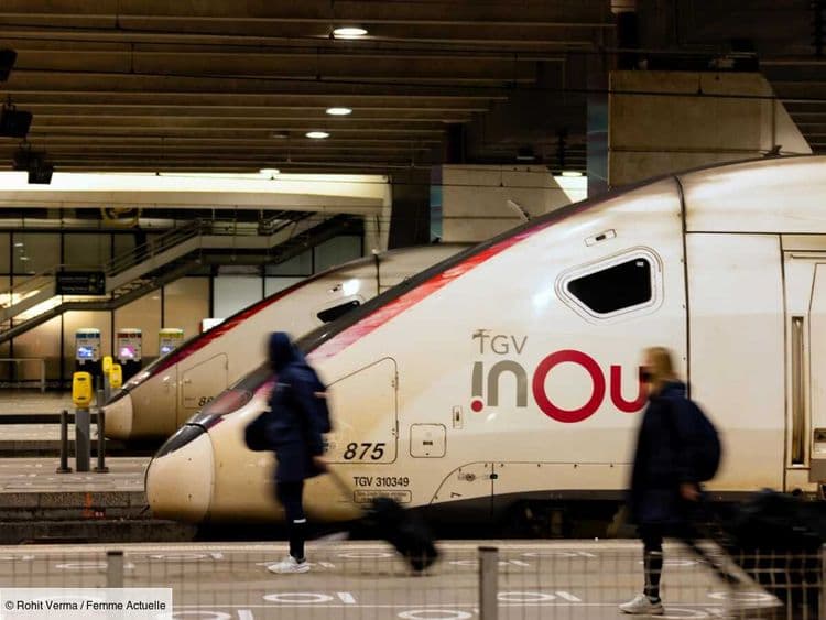 Dans la Drôme, un homme a parcouru 500 kilomètres entre deux voitures de TGV