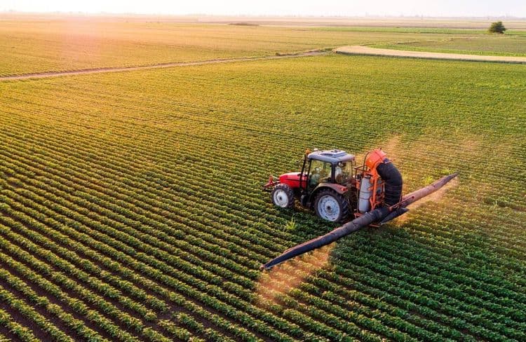 Dépistages du cadmium dès l’automne : pourrez-vous en bénéficier ?