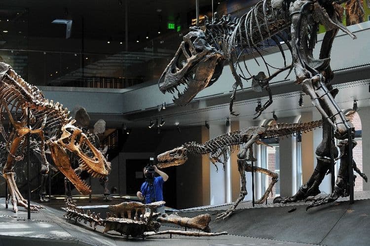 Des enfants américains découvrent un jeune tyrannosaure en se promenant
