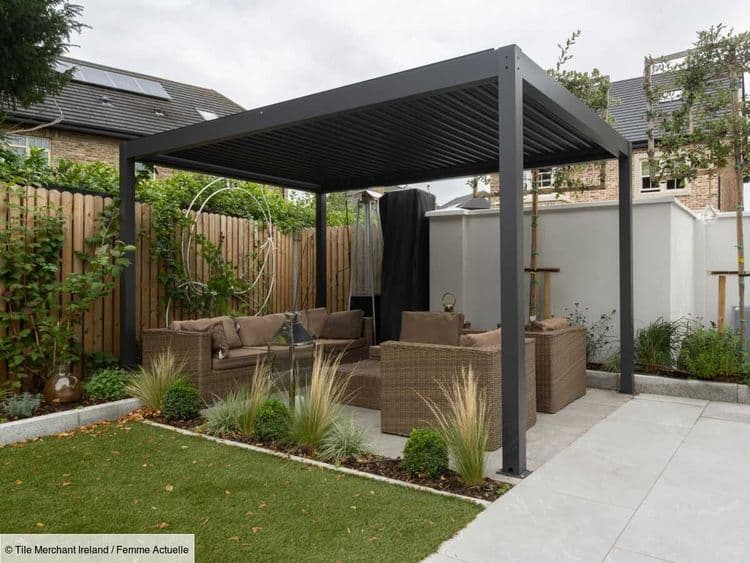 5 plantes à faire grimper sur une pergola pour l’habiller et faire de l’ombre