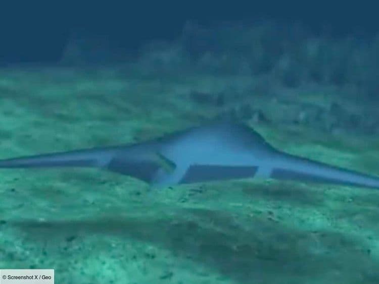 Un monstrueux drone sous-marin bourré d'explosifs: le projet titanesque des États-Unis