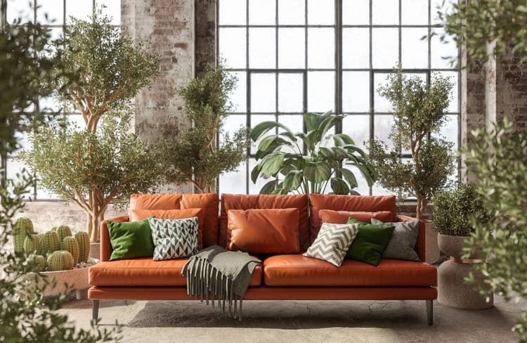 Les soins à apporter à ses plantes d’intérieur en hiver