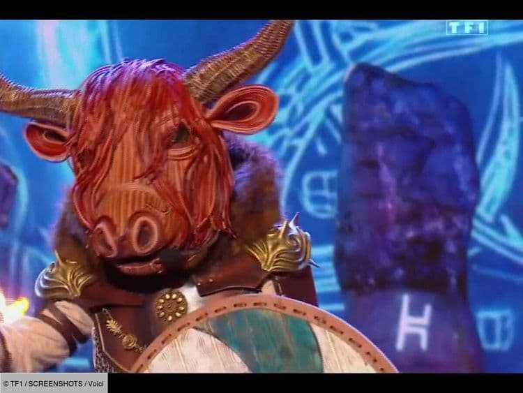 Mask Singer : Damien Sargue (Roméo et Juliette) se cache-t-il sous le costume du Bison ? Les internautes en sont persuadés et ils ne sont pas les seuls