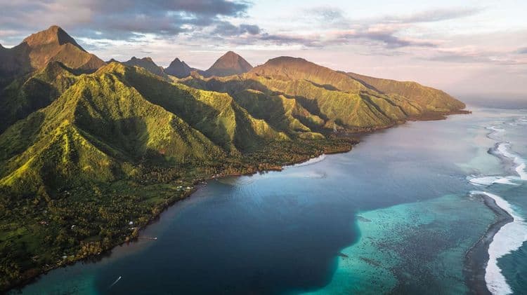 Des coraux abîmés par le chantier de la tour des juges indigne à Tahiti