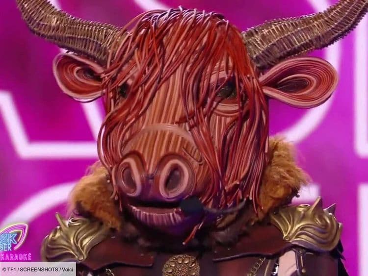 Mask Singer : découvrez quelle célébrité se cachait derrière le costume du Bison ?