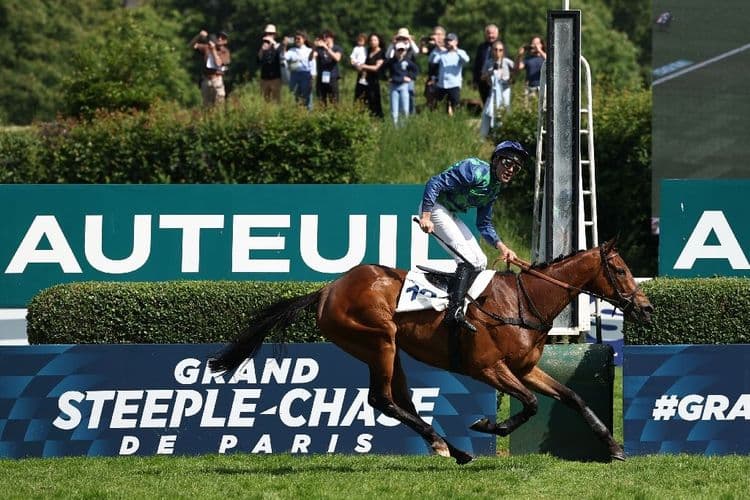 Le cheval Diamond Carl remporte le Grand Steeple-Chase de Paris