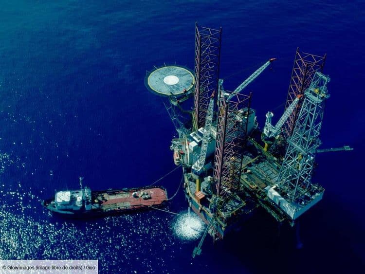 Deep-sea mining: pourquoi il faut à tout prix empêcher Trump de miner le fond de nos océans