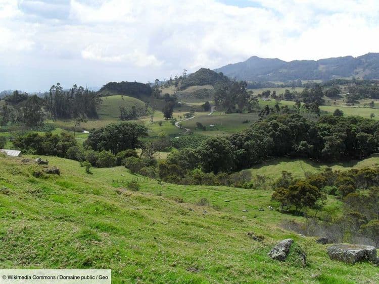 Comment il y a 4000 ans, une lignée humaine a disparu sans laisser de trace génétique en Colombie