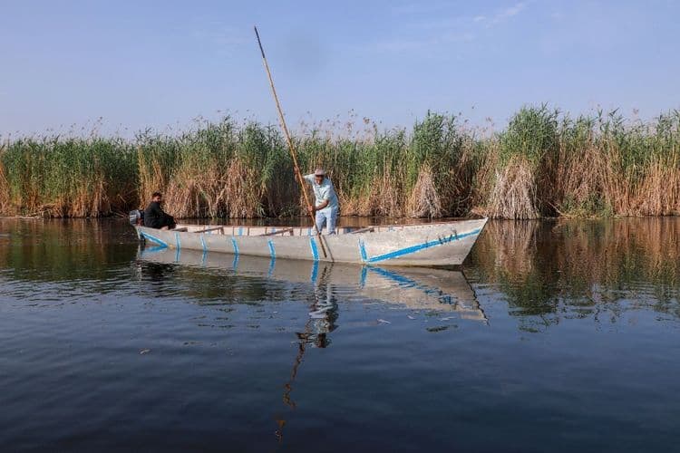 En Irak, la prospection pétrolière menace les mythiques marais mésopotamiens