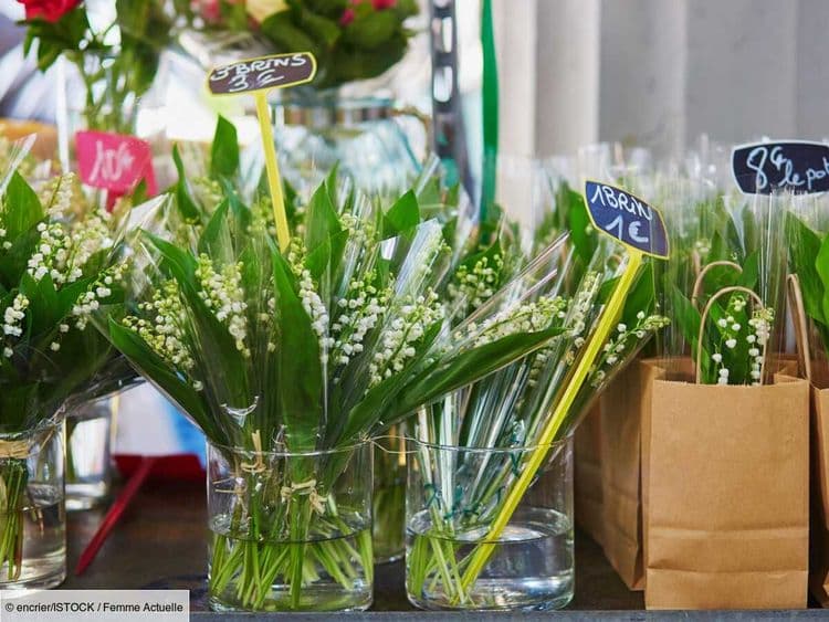 Peut-on vendre du muguet librement ? 8 choses que vous devez absolument savoir pour éviter une grosse amende