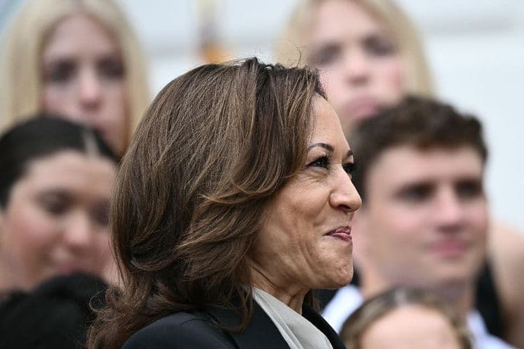 Kamala Harris, "opération cocotier": décryptage d'un symbole de ralliement viral
