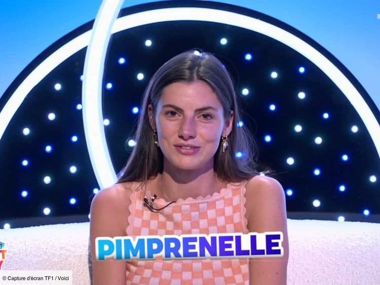 Secret Story : un triangle amoureux se dessine-t-il entre Théo, Pimprenelle et Adrien ? Les internautes s'agacent